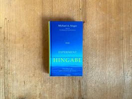 Das Experiment Hingabe – Michael A. Singer