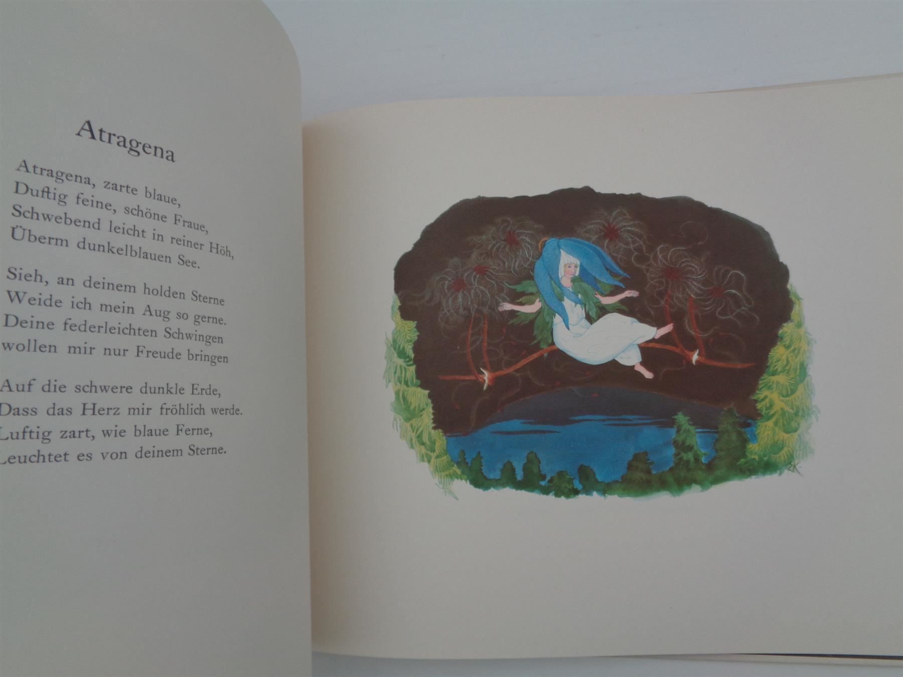 Libri: Alpenblumenmärchen von Ernst Kreidolf – Usato da Chur venduto da omonia 3