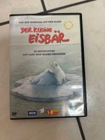 DVD "Der kleine Eisbär