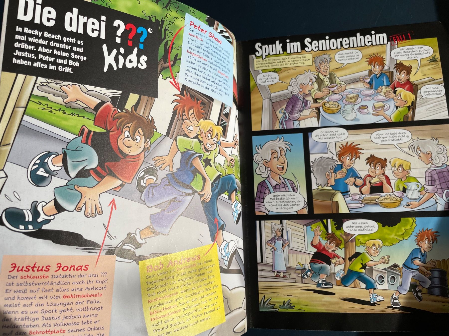 Comics: Die drei ??? Kids, Die Wikinger kommen! Comic – Gebraucht aus Winterthur von calbecht 2