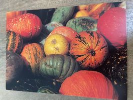 AK artbula Kürbisse Herbst