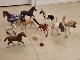 Original Schleich: 8 Pferde, 1 Reiterin, 1 Hund, Zubehör