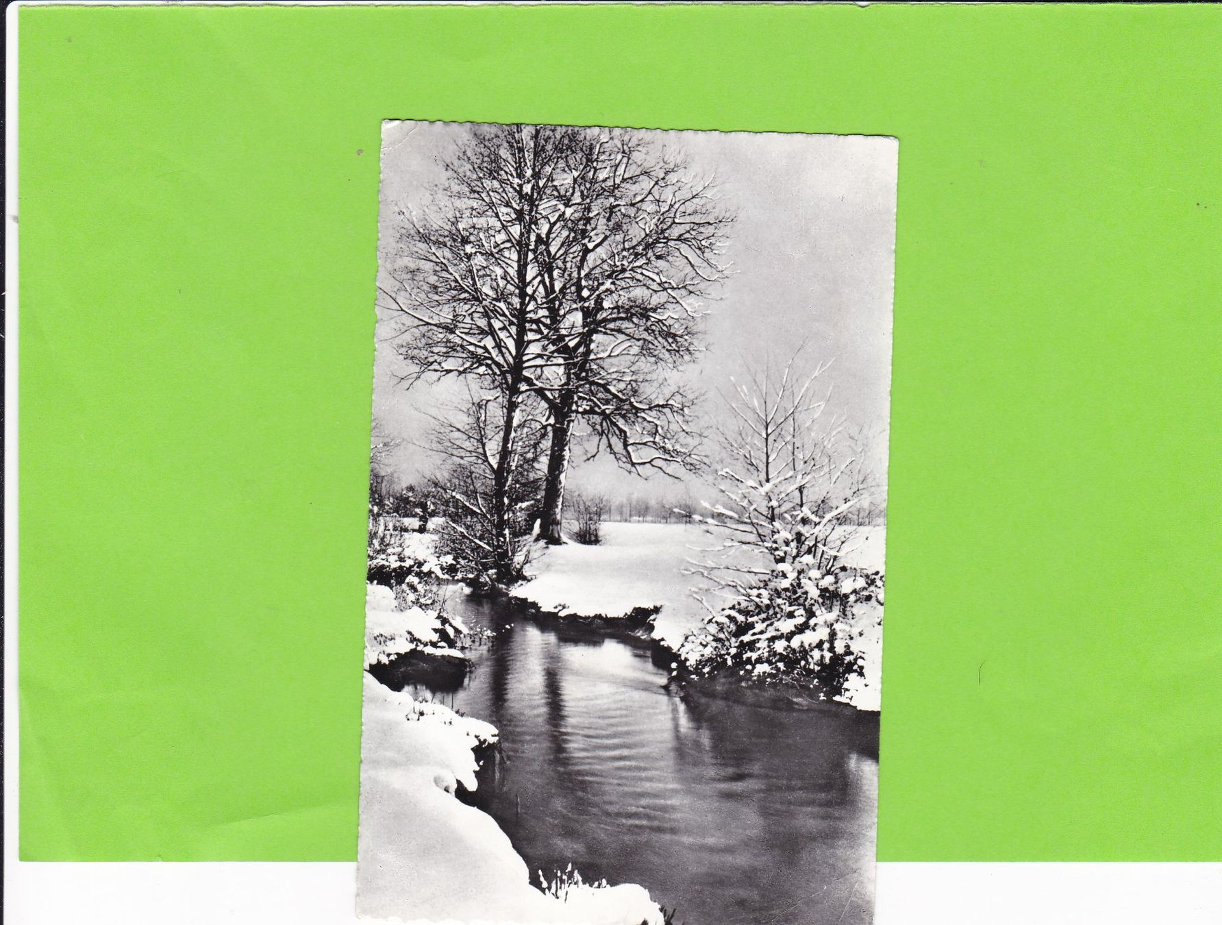 Ansichtskarten: Natur-Winter – Gebraucht aus St. Peterzell von neckertal