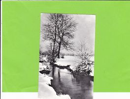 Natur-Winter