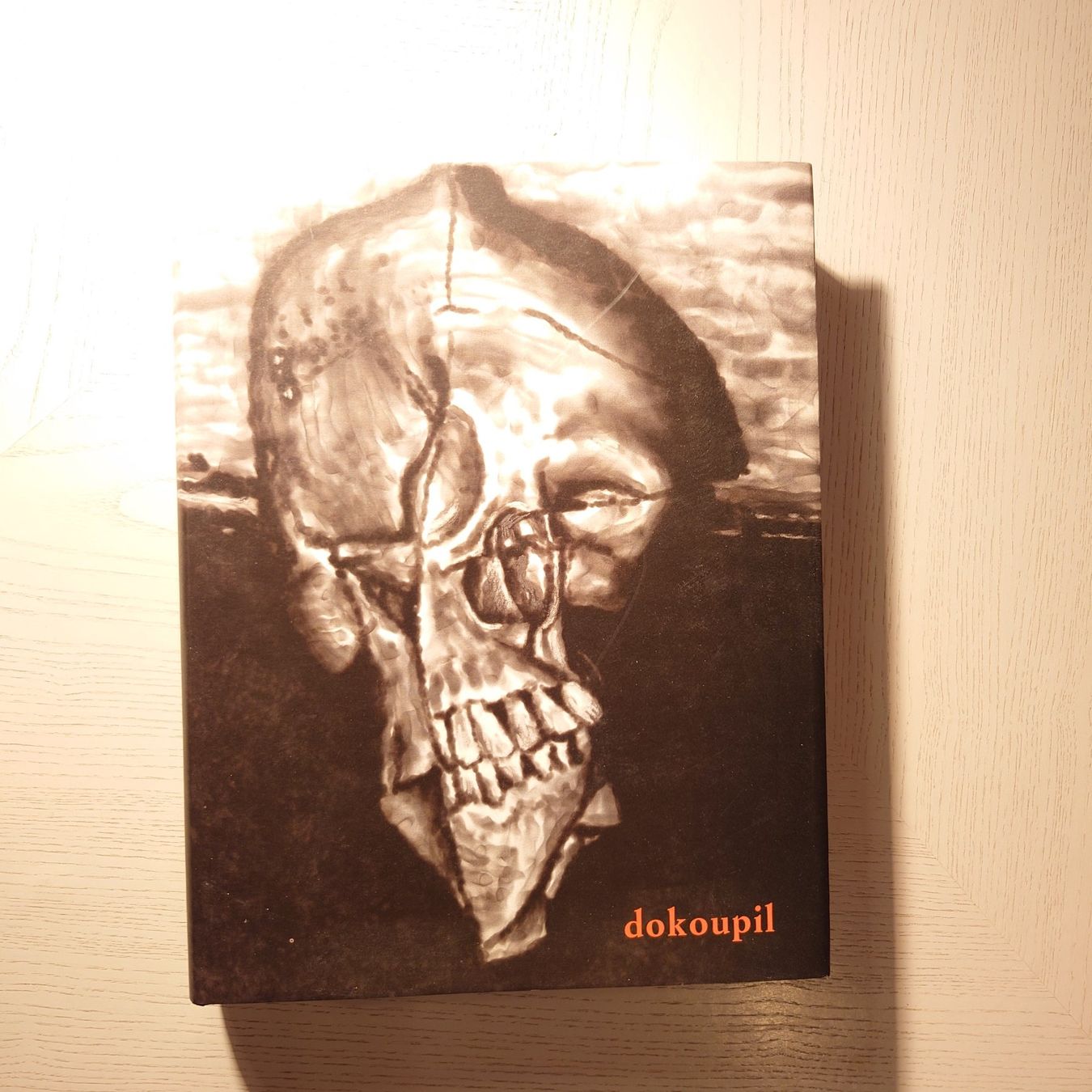 Bücher: DOKOUPIL. Lieber Kunstfreund, ich bin ein.... Rar. Kunstbuch – Gebraucht aus Zürich von Simple23