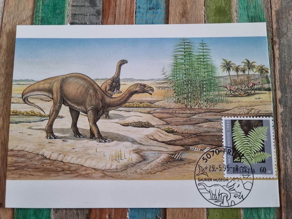 Second Ave Weihnachtskarte Mit Dinosauriermotiv – 210x148 Mm, Mit Umschlag