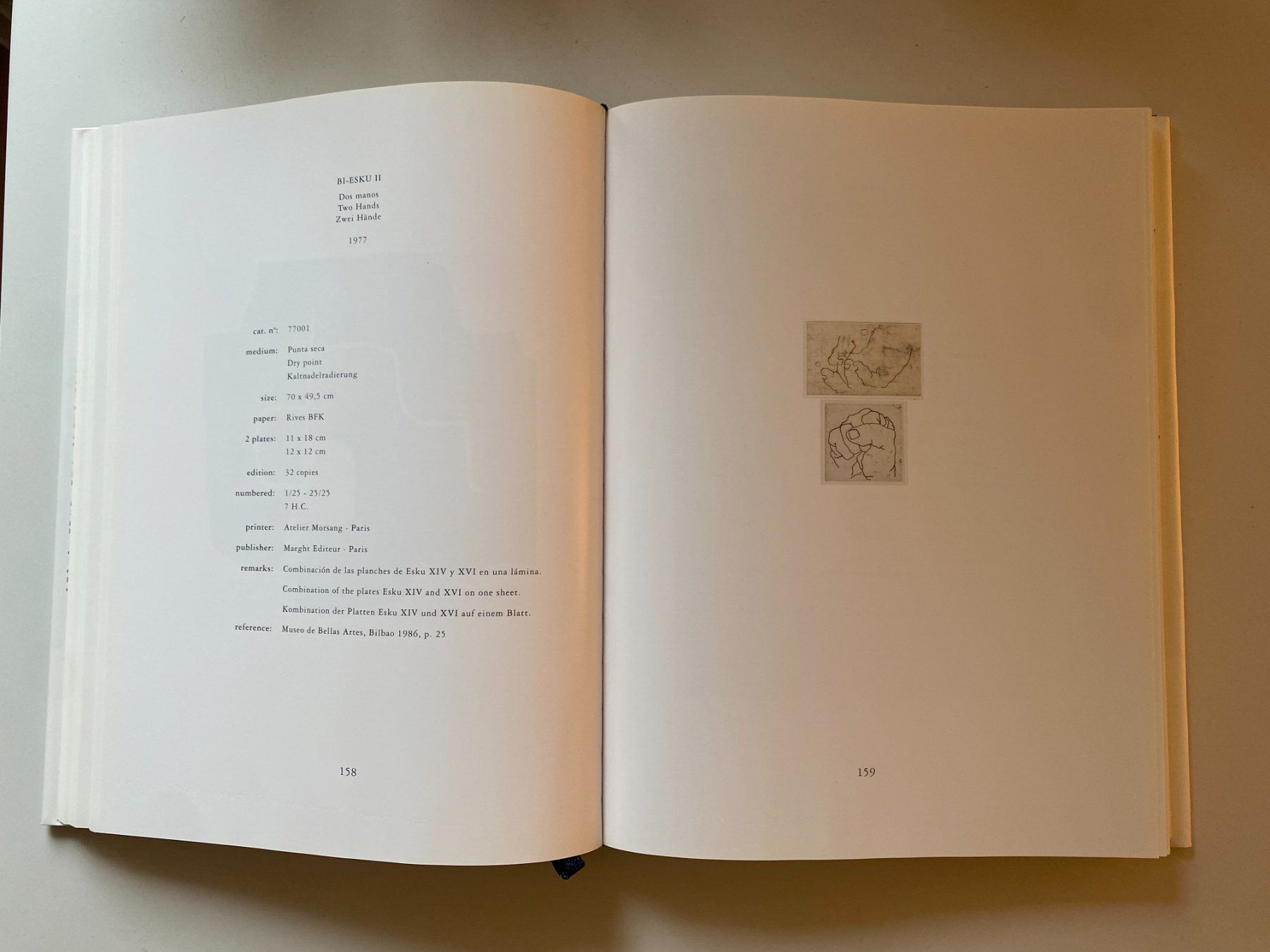 Libri: Buch Eduardo Chillida, Opus P.II – Usato da Gümligen venduto da Vicky2 4