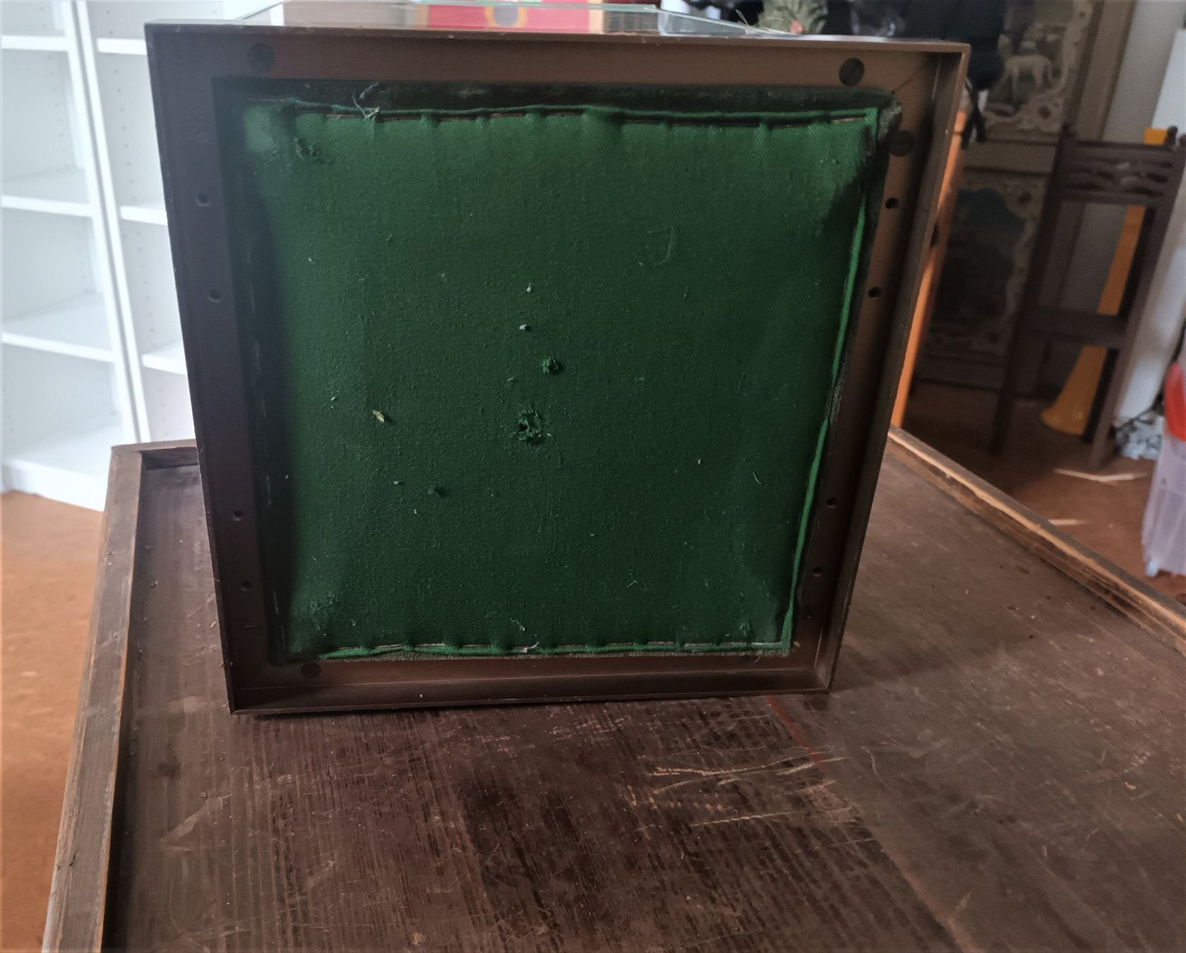 Vetrine: Glasvitrine mit Glockenabdeckung, Sockel Messing. – Usato da Vaduz venduto da Bergtiger 3