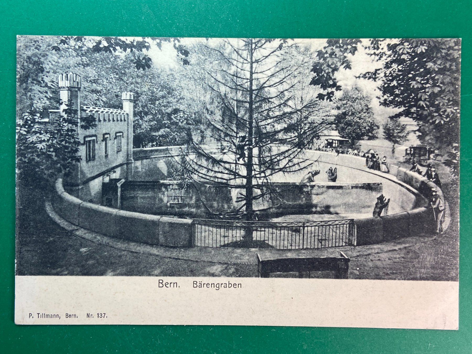 Cartoline postali: Bern - Bärengraben – Usato da Steg VS venduto da danwer74