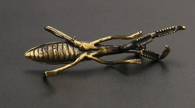 Statuette: Gottesanbeterin Figur Insekt aus Messing – Nuovo (secondo la descrizione) da Uerkheim venduto da Kaufoption 2