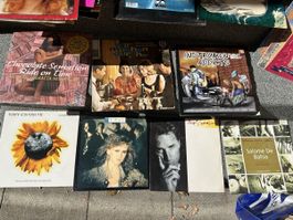 Schallplatten (hauptsächlich 12"-Maxis und Compilations aus 