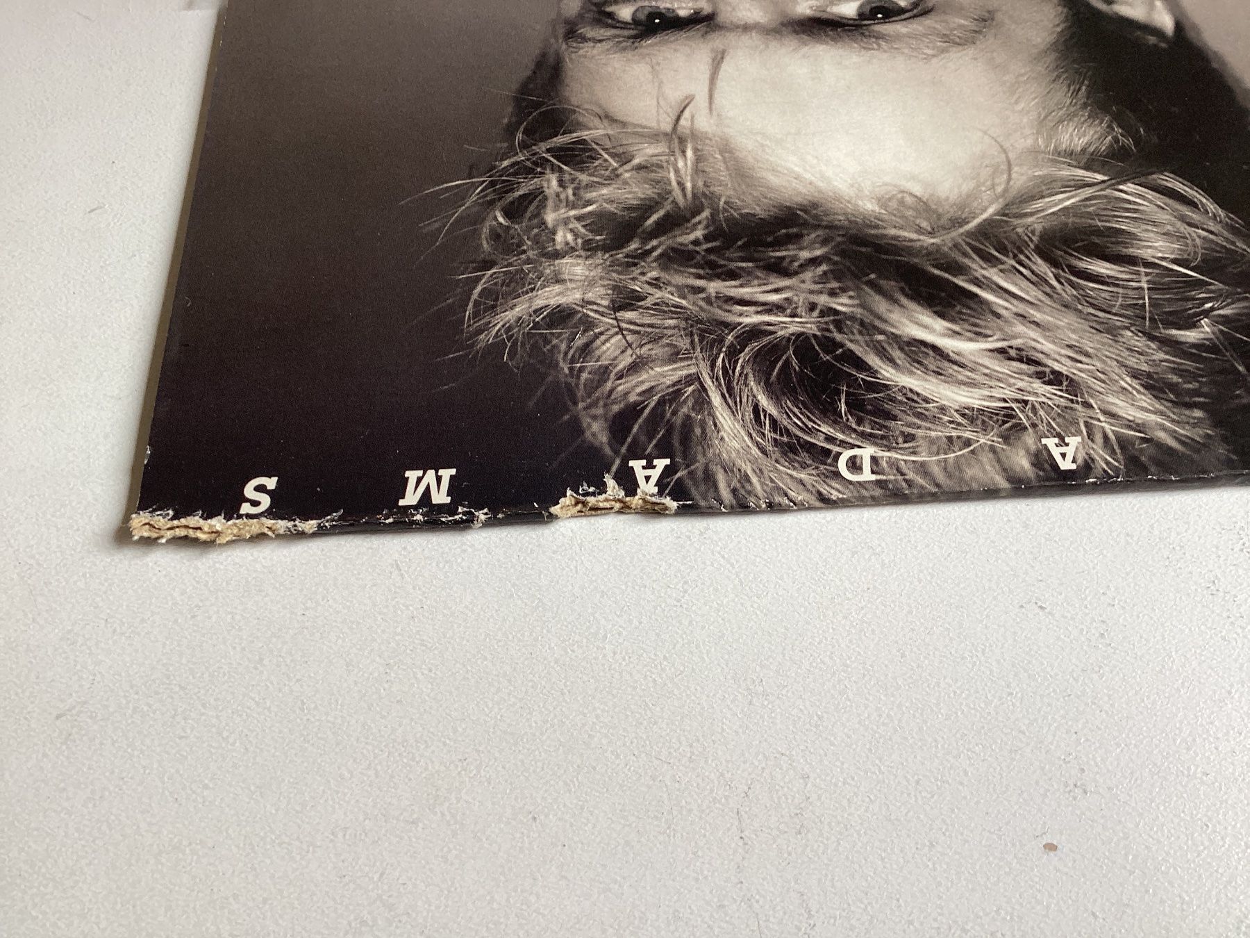 Dischi in vinile: Bryan Adams LP - Reckless (Cover schlecht) – Usato da Gutenswil venduto da Hamzian 1