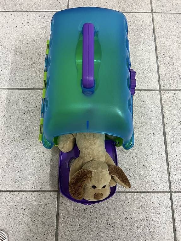 Gabbie, trasporto & Sicurezza: Hundebox mit Hund Sammie – Usato da Bremgarten venduto da Rabaan