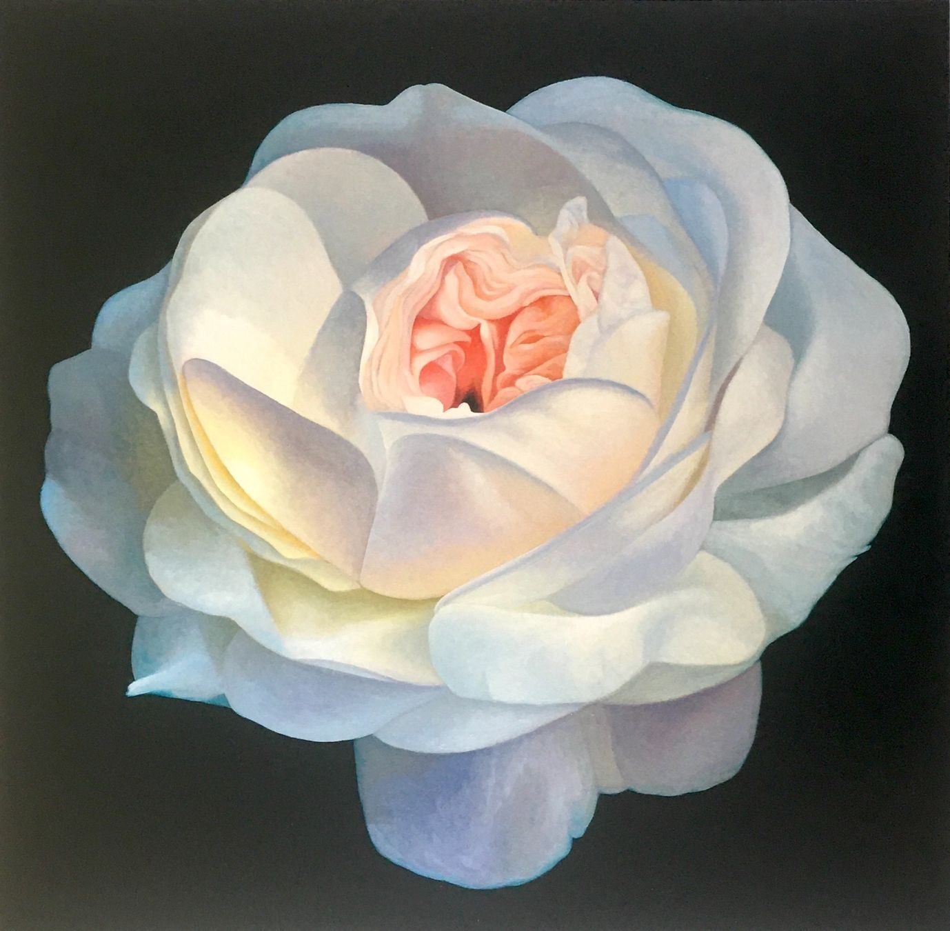Grafica & Litografie: Franco Campana       4 KUNSTDRUCKE   "Rosen" – Usato da Nennigkofen venduto da Schamane75 2