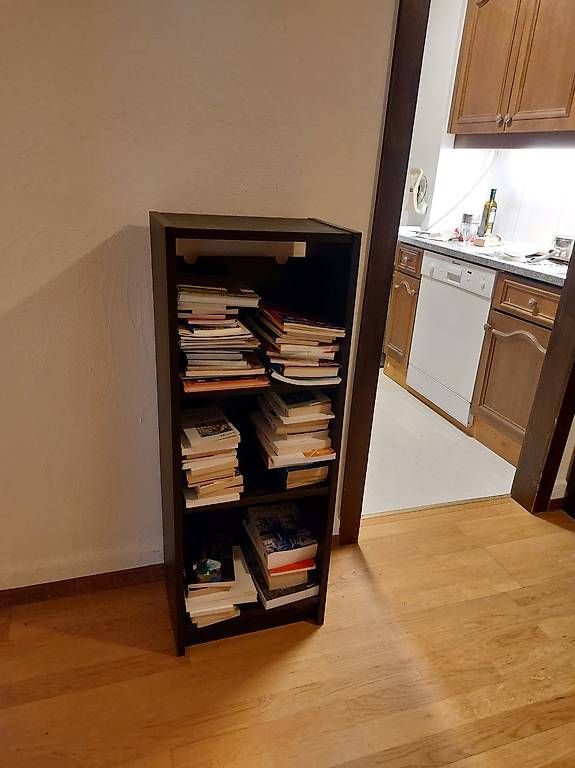 Scaffali: FREE 3 IKEA Bookcases + 1 smaller one  – Usato da Zürich venduto da annickgros01 1