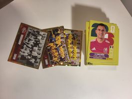 Panini WM 2026: 112 verschiedene Sticker (Keine Doppelten)