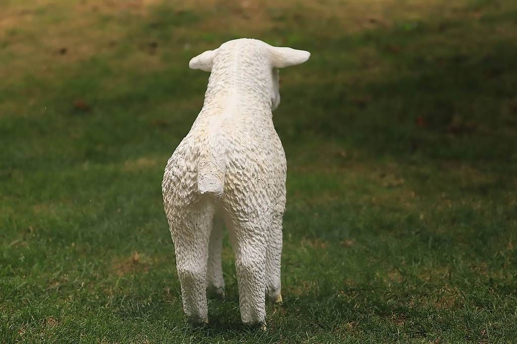 Statuette: Mouton en résine ht. 60 cm – Nuovo (secondo la descrizione) da courtételle venduto da capsule05 3