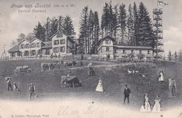Bachtel   ZH  im Zürcher Oberland      um 1905