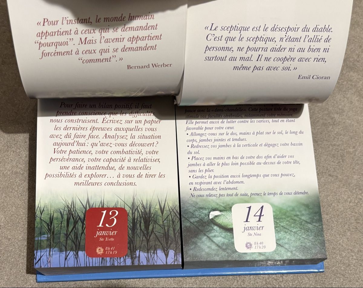 Libri: Éphéméride Zen, un conseil par jour – Nuovo e nell'imballaggio originale da Cudrefin venduto da sdz_trl6 6