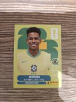 Panini Stickeralbum Estêvão Brasil 2026 neuwertig