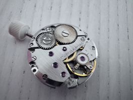 Wind-up Watch Movement 17 Jewels Swiss Part - 18.5mm - new