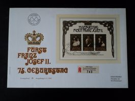 Grossbrief FDC Block 1981
