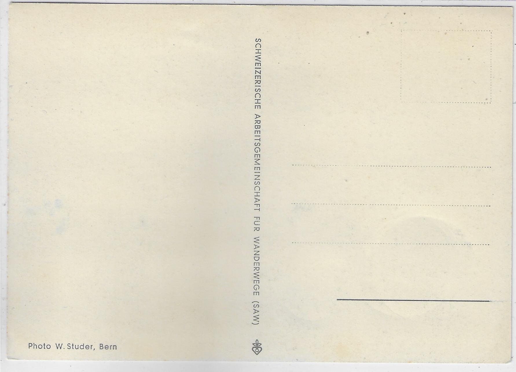 Cartoline postali: Zwei Kinder mit Ziege – Usato da Ettingen venduto da Kartenplanet 1
