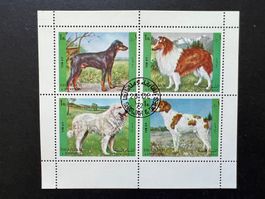 Sharjah  Hunde  Block 1972 gestempelt  (C273)