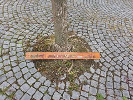 Appenzeller Holzbild Robi Niederer bemalt gebraucht Druck 