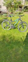 Jugendmountainbike Bergamont - Race Series Nugget