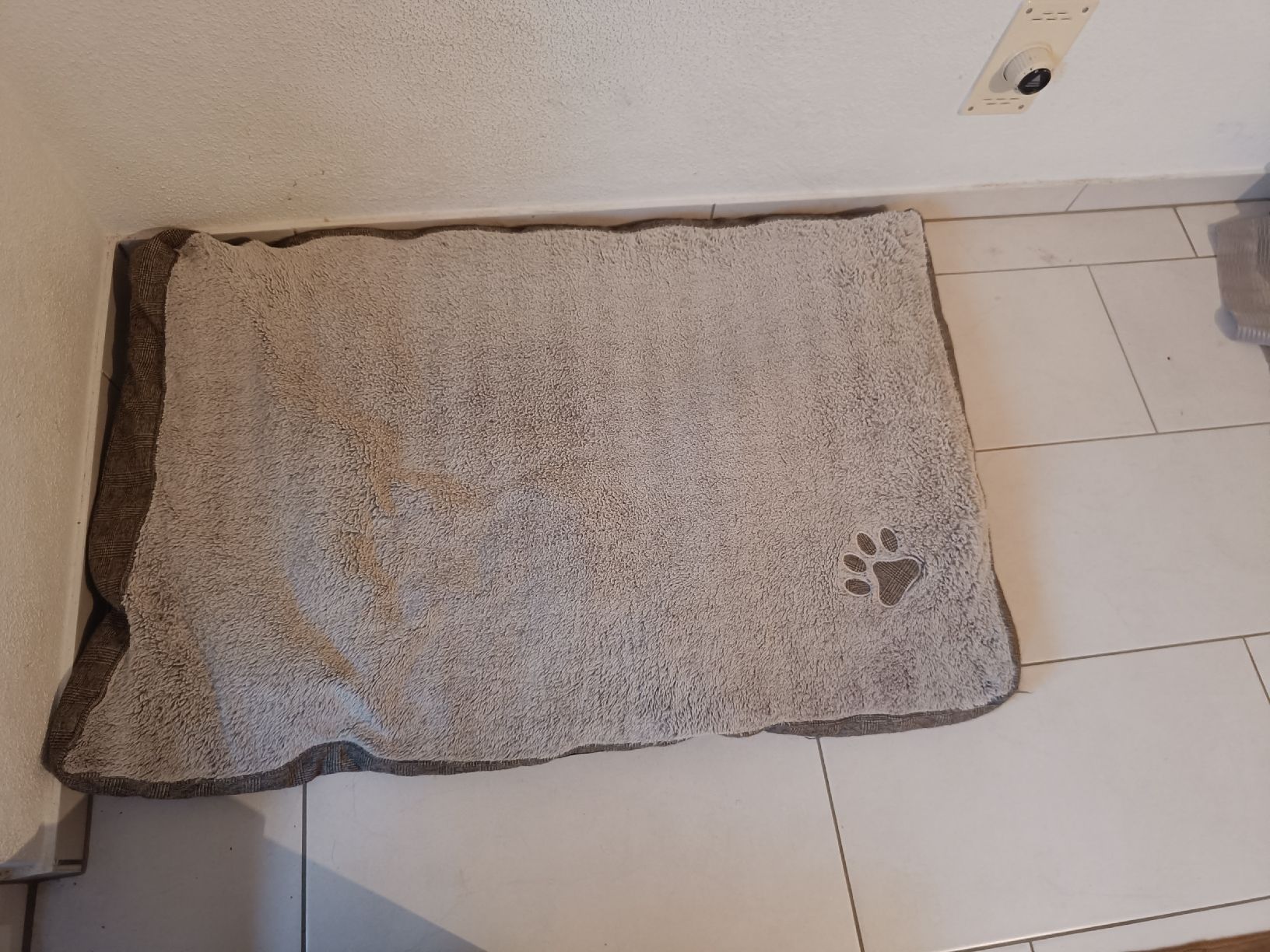 Abbigliamento: Hunde Zubehör – Usato da Rufi venduto da tui_g6y2 2