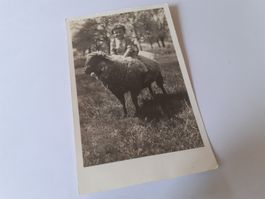 DER RITT auf dem SCHAFBOCK - GABERELL - SAAS-FEE 1925