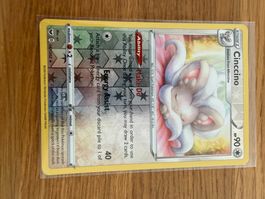 Cinccino 147/202