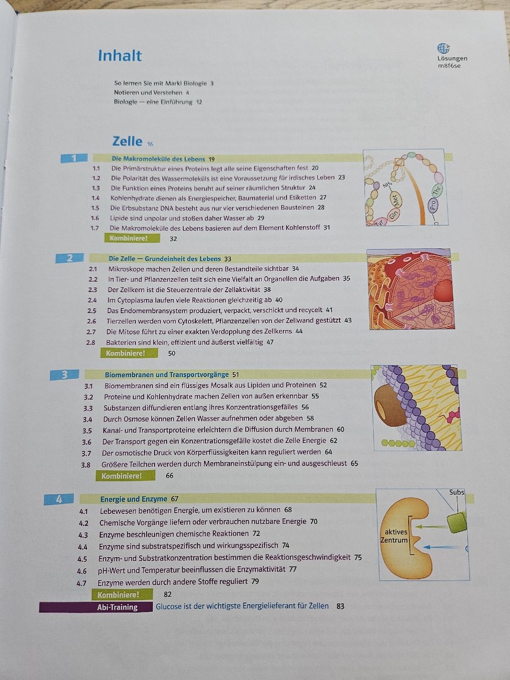 Libri: Markl Biologie | Oberstufe – Nuovo (secondo la descrizione) da Hüntwangen venduto da lev_pc9m 1