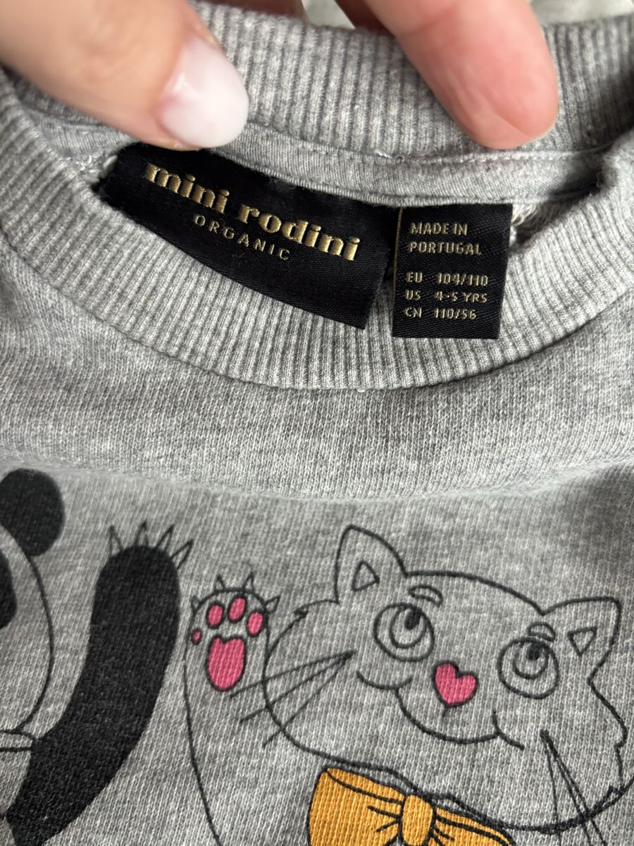 Mini Rodini Pullover & Sweatshirts: Mini Rodini Pullover Gr. 104/110 – Gebraucht aus Augst BL von fine-art 2