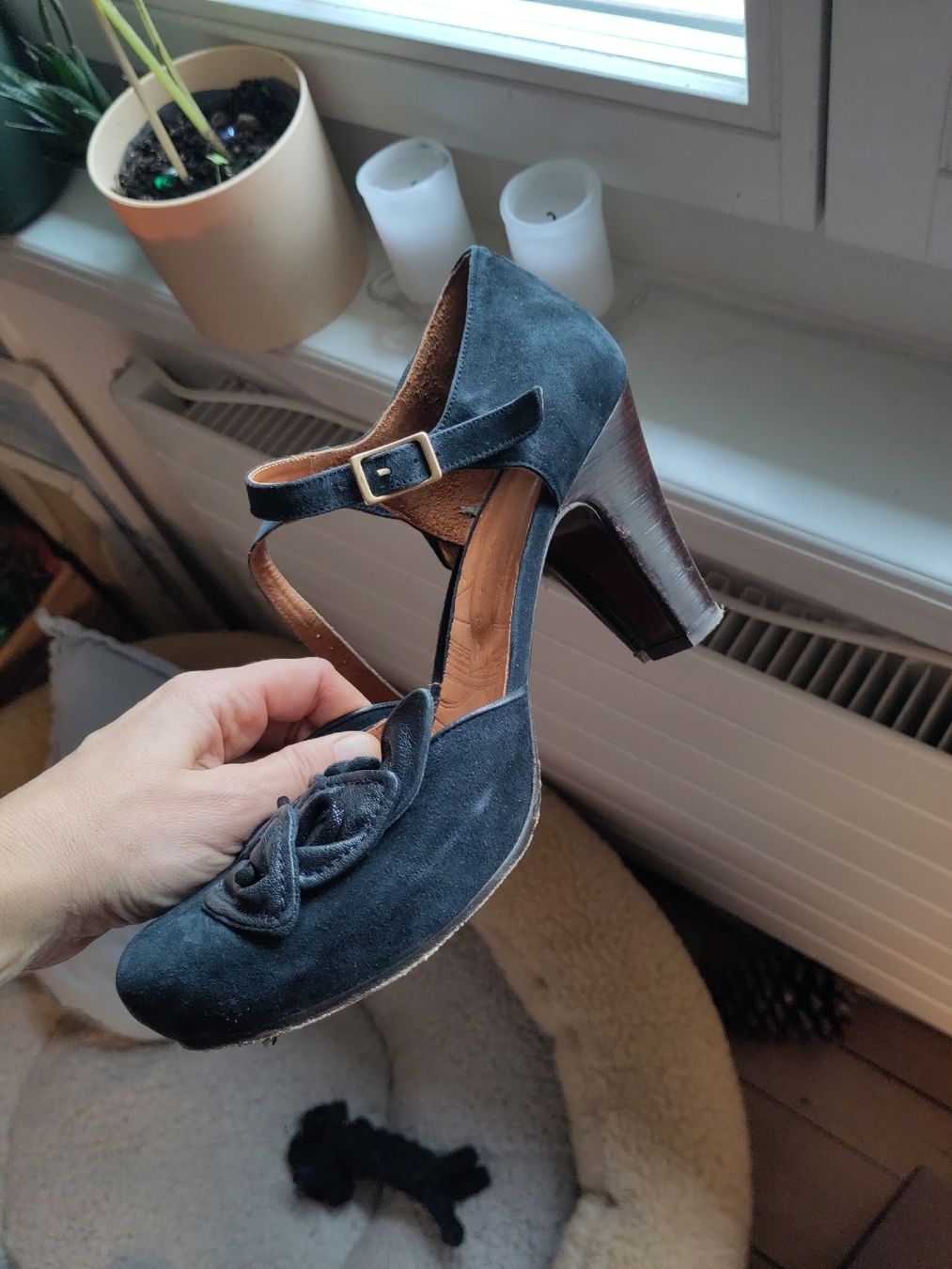 Scarpe da donna: Chie Mihara DesignerPumps 41 Blau Rauleder – Usato da Zürich venduto da piw_s6pl 1