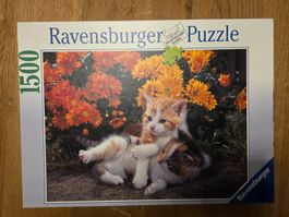 Ravensburger Puzzle 1500 Teile - Spielende Kätzchen