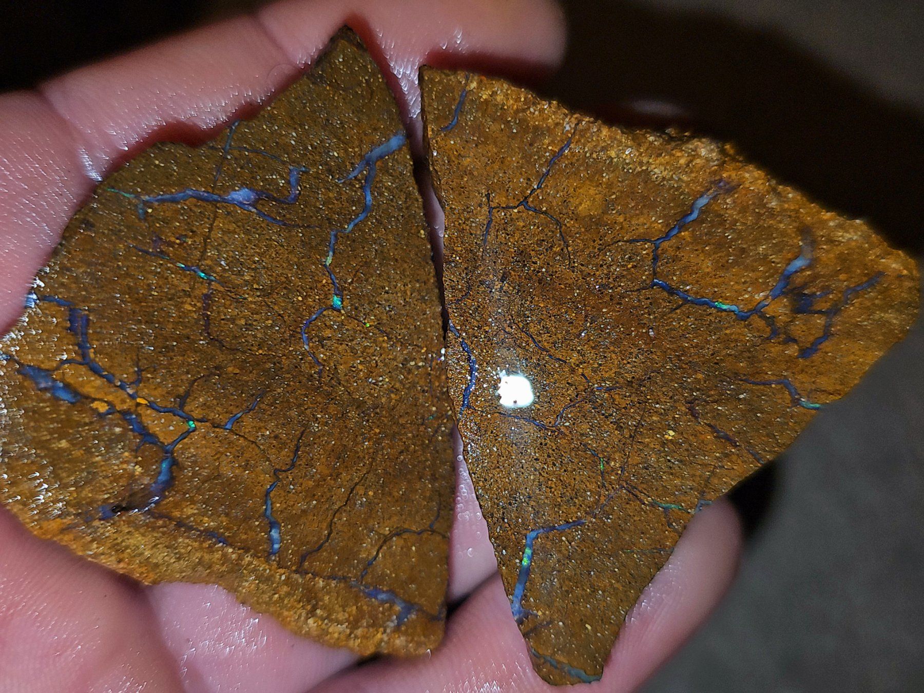Pierres précieuses: Grosses Australisches Boulderopal Rohstein Paar – Neuf avec emballage d'origine à Uerkheim par Winwinner