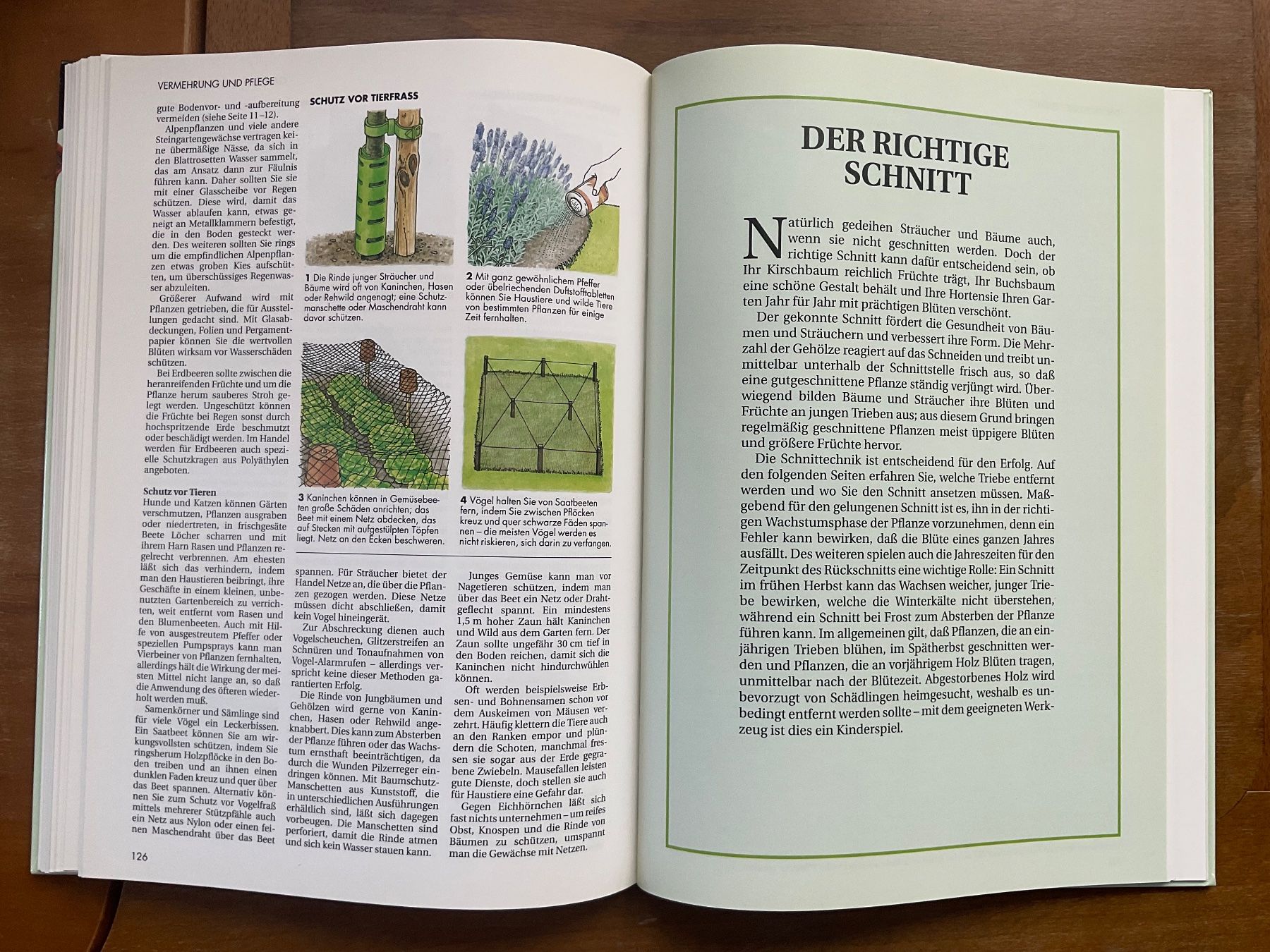 Libri: Gartenarbeit leichtgemacht – Usato da Zürich venduto da tol_b7c7 5