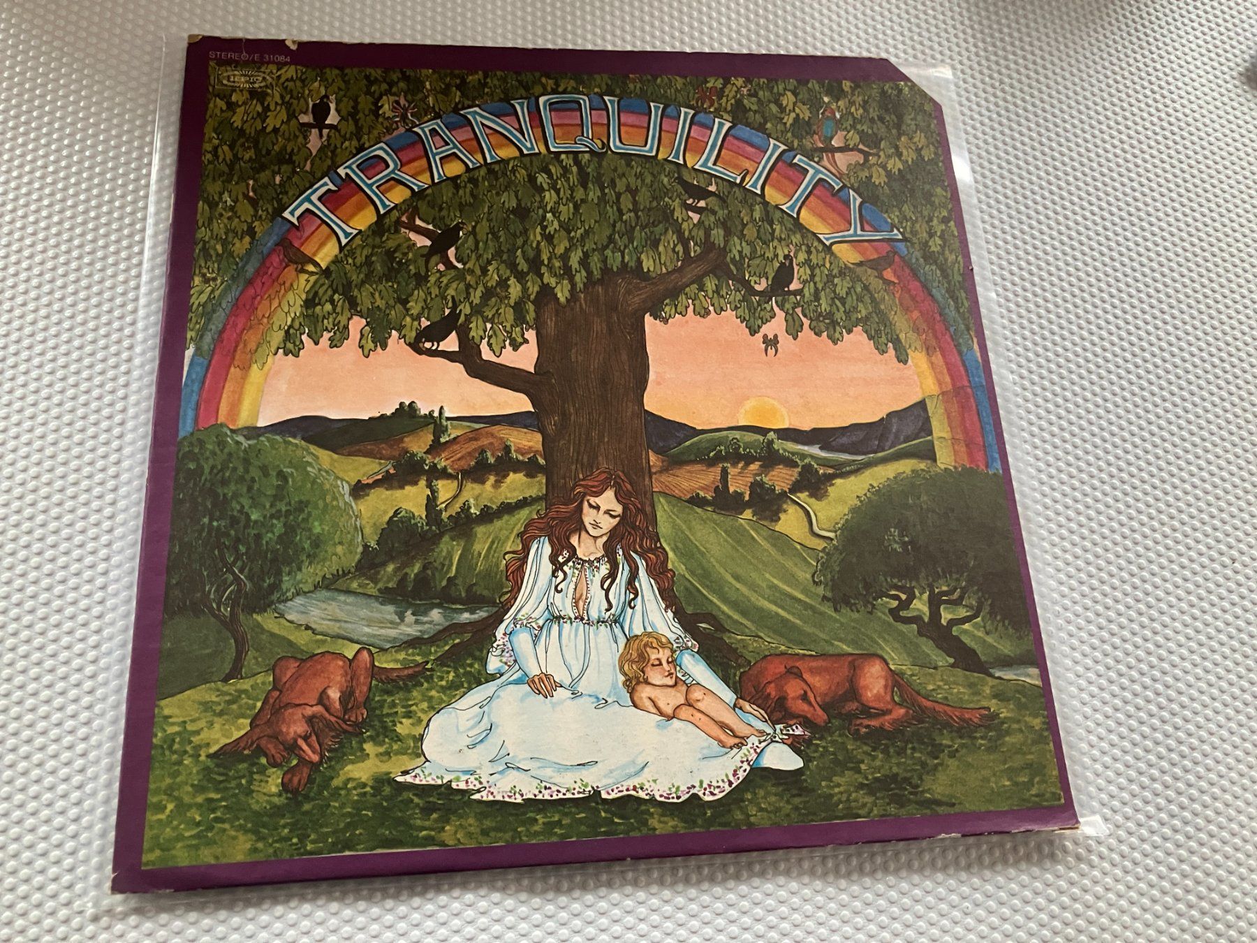Dischi in vinile: Tranquility – Usato da Aarwangen venduto da Jukebox3