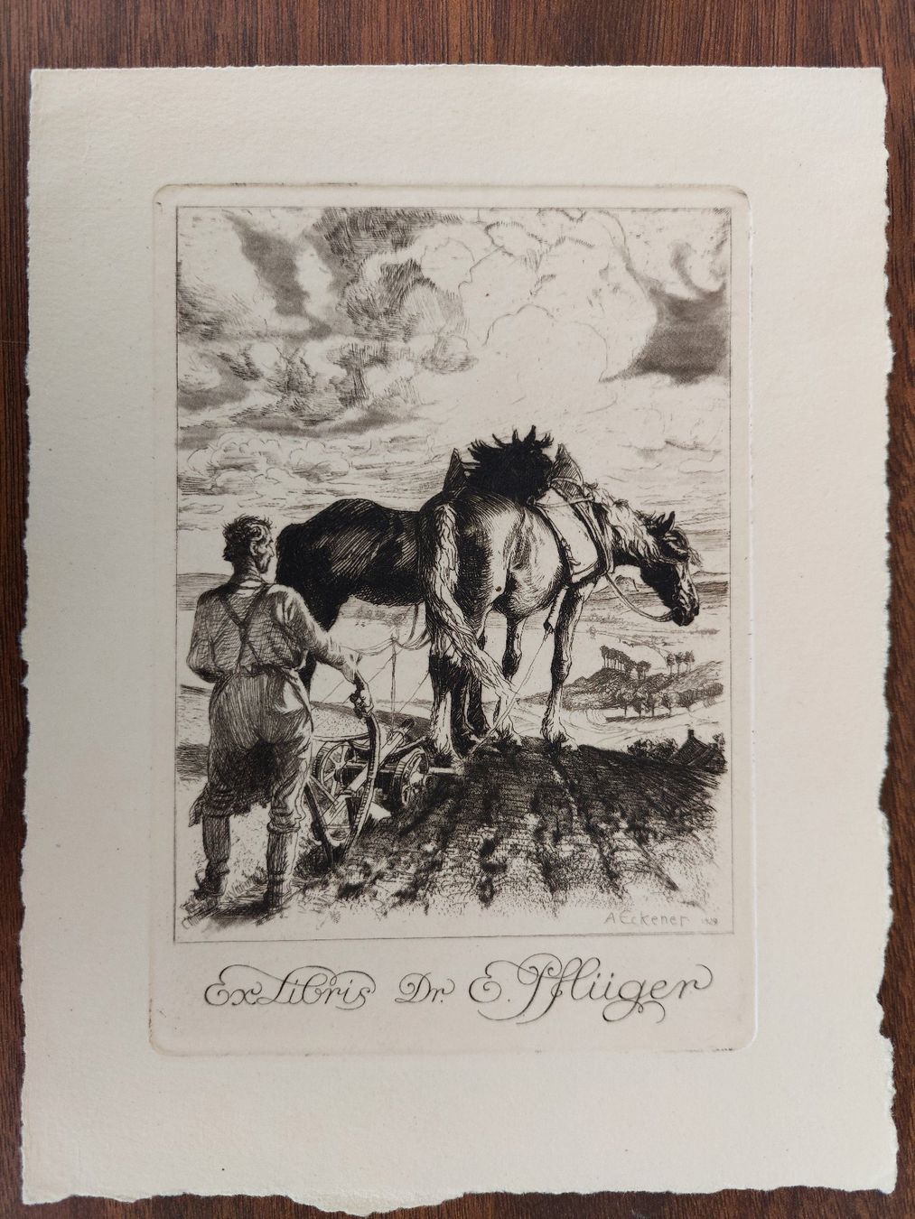 Gemälde: Exlibris Alexander Eckener Original Radierung Landwirtschaft – Gebraucht aus Obfelden von Exlibris-Art