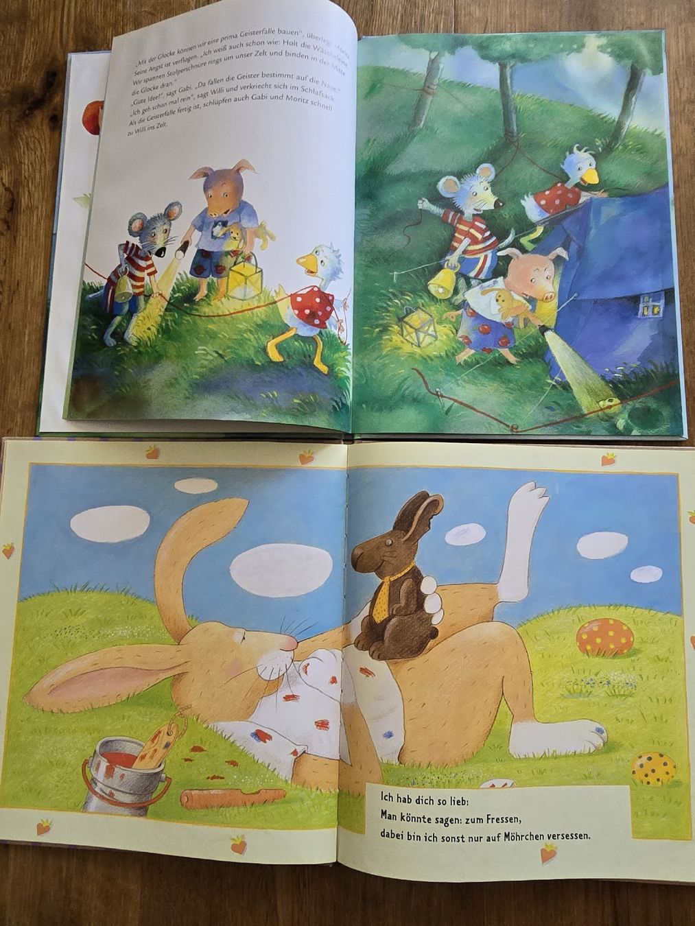 Libri: bücher für kinder – Usato da Wittenbach venduto da Tigerlili 8