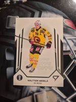 Waltteri Merela SC Bern Playoffs 2025 Sportzoo