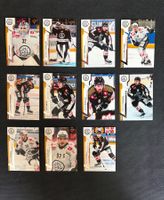 Komplettes HC Lugano Team Sportzoo.