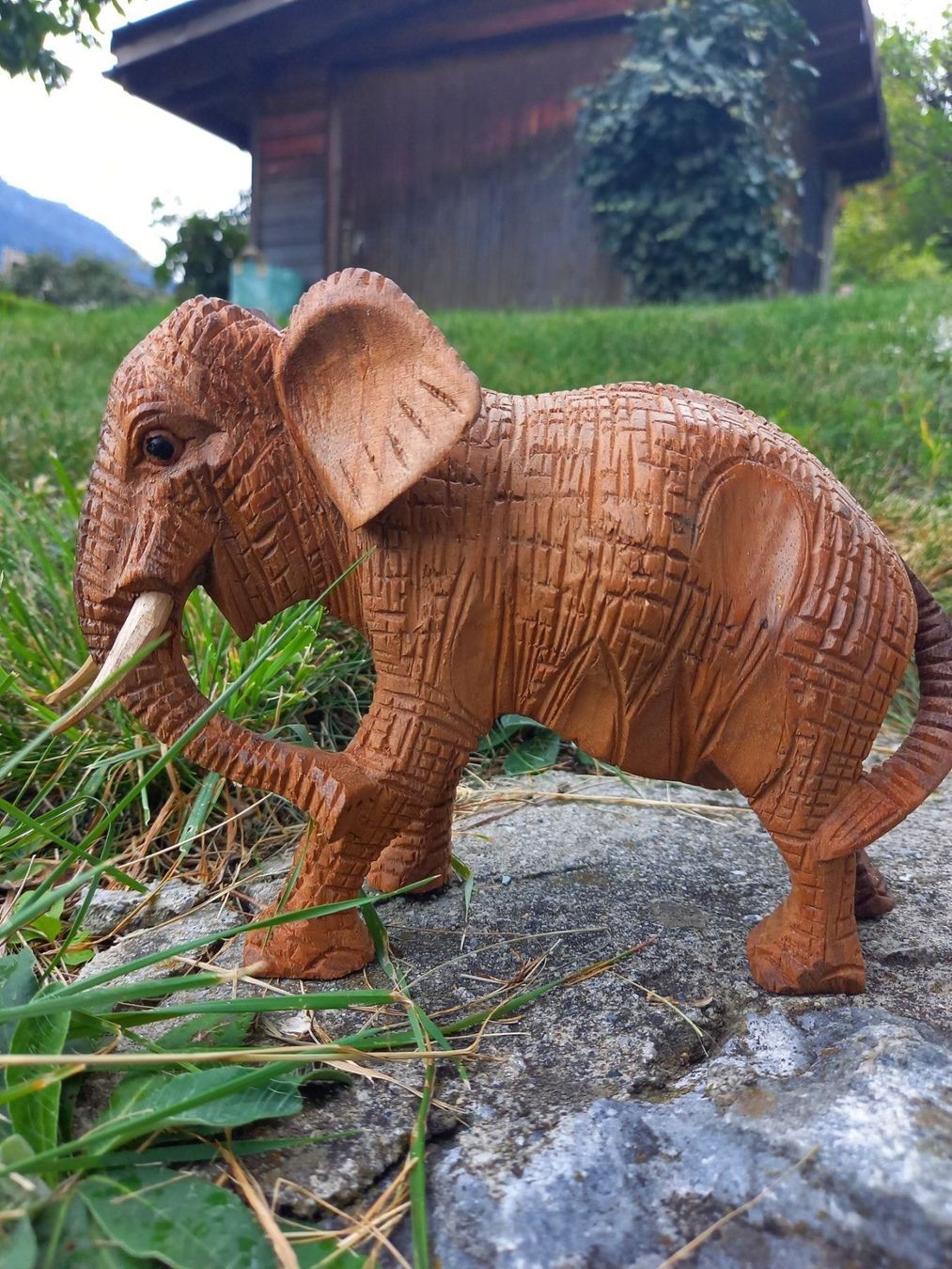 Xilografie: kleiner Elefant aus Holz – Nuovo e nell'imballaggio originale da Domat-ems venduto da Gr8wood