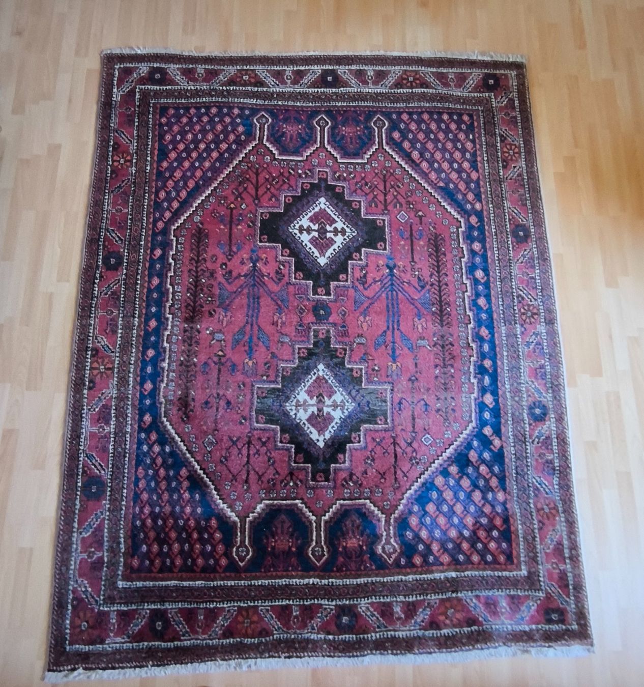 Tappeti: Tapis – Usato da Porrentruy venduto da NGiorda