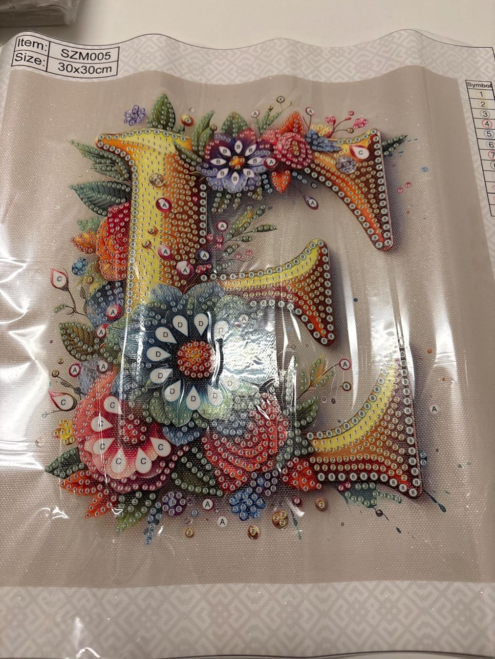 Bastelsets: Diamond Painting Bild E – Neu (gemäss Beschreibung) aus Amriswil von SCHLOSSGEISTLI