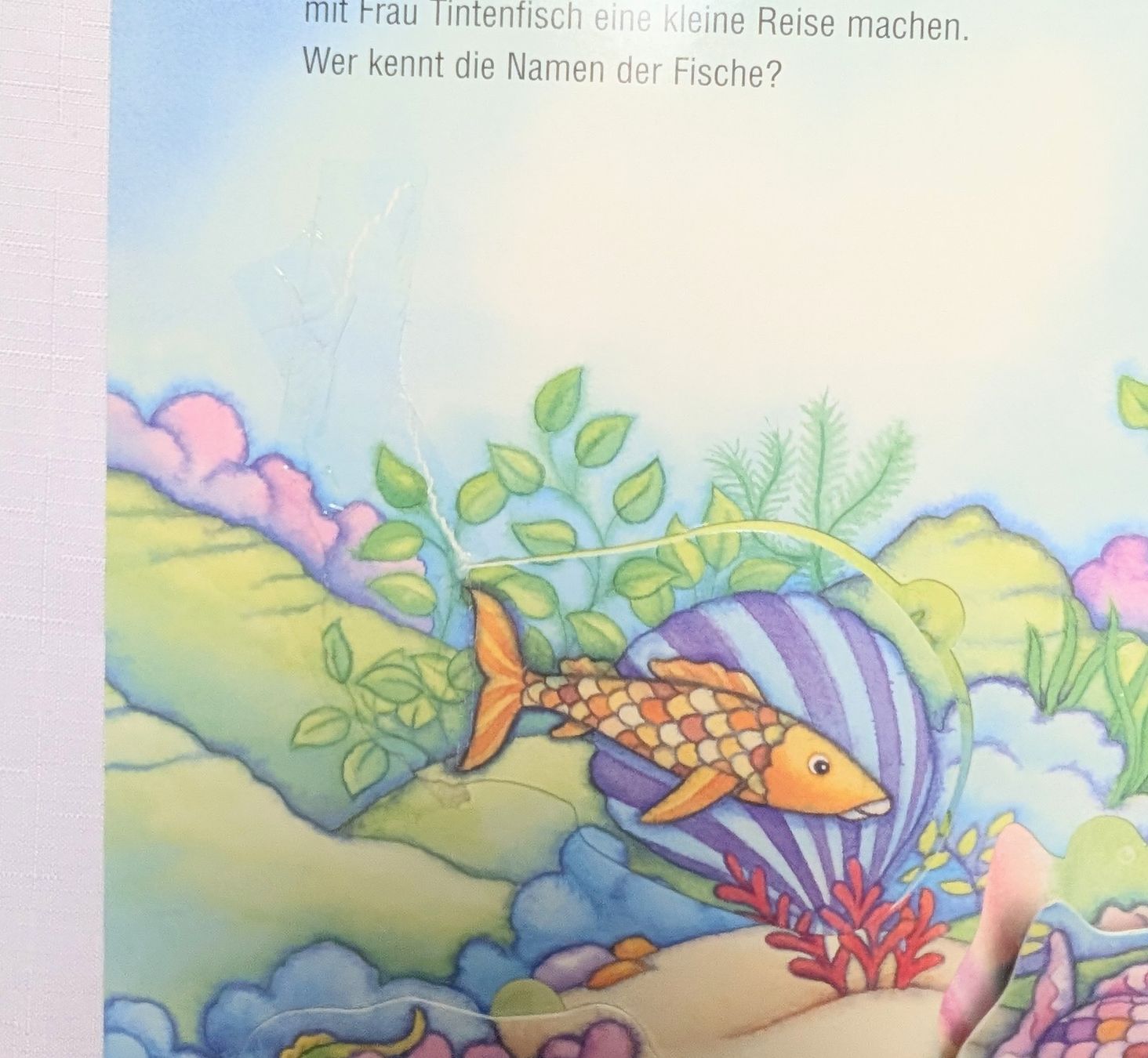 Libri: Der Regenbogenfisch und seine Freunde - Marcus Pfister – Usato da Wängi venduto da ABIZONE-86 2