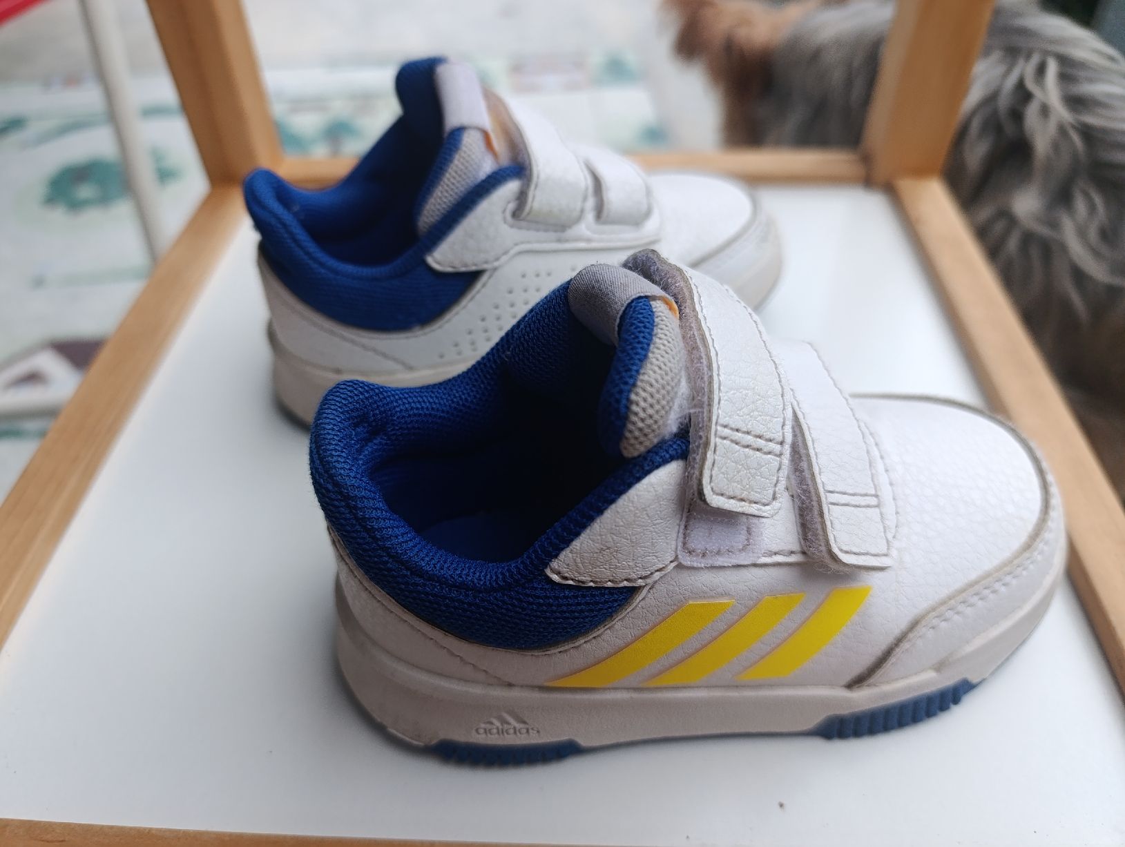 Adidas Scarpe per ragazzi: Adidas Schuhe  – Usato da Ittigen venduto da mih_vj86 2