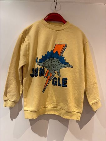 Schöner Dino Pullover Gr. 122, Sfera